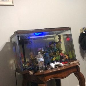 Meet your Posher, Alexus